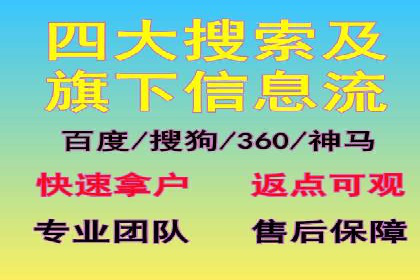 SEM竞价开户流程详解：成功案例解析